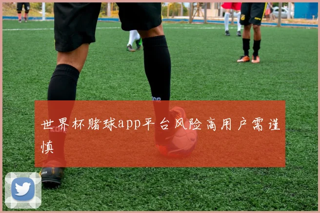 世界杯赌球app平台风险高用户需谨慎