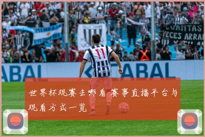 世界杯观赛去哪看 赛事直播平台与观看方式一览