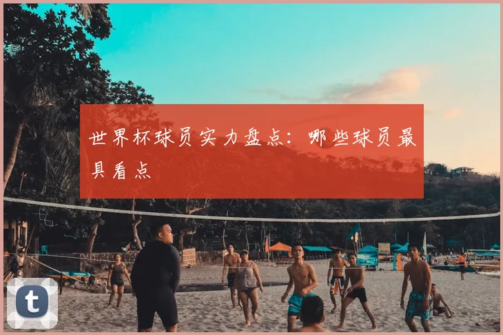 世界杯球员实力盘点:哪些球员最具看点
